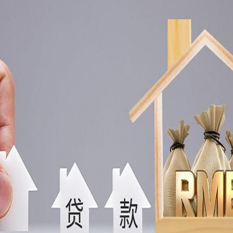 通山贷款中介公司新渝启服怎么样